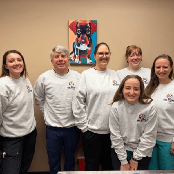 vet and staff examining dog