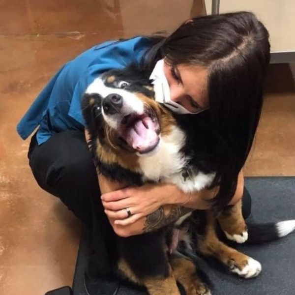 vet staff hugging dog