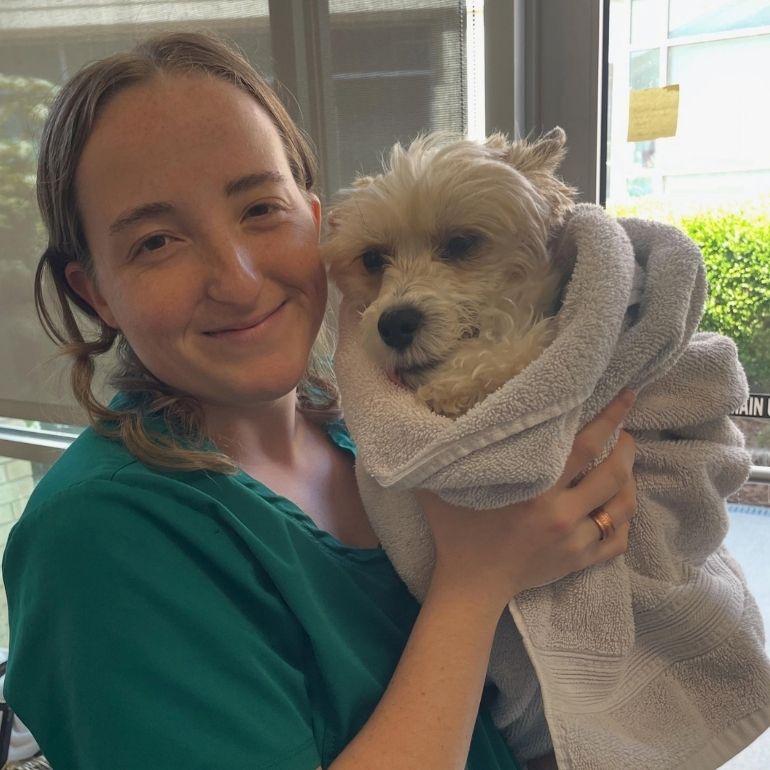 preventative a vet staff cuddles a small, fluffy dog