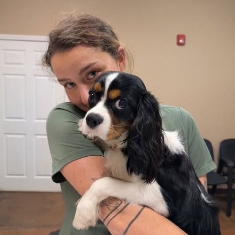 wellness plans a vet staff hugs a black and white dog